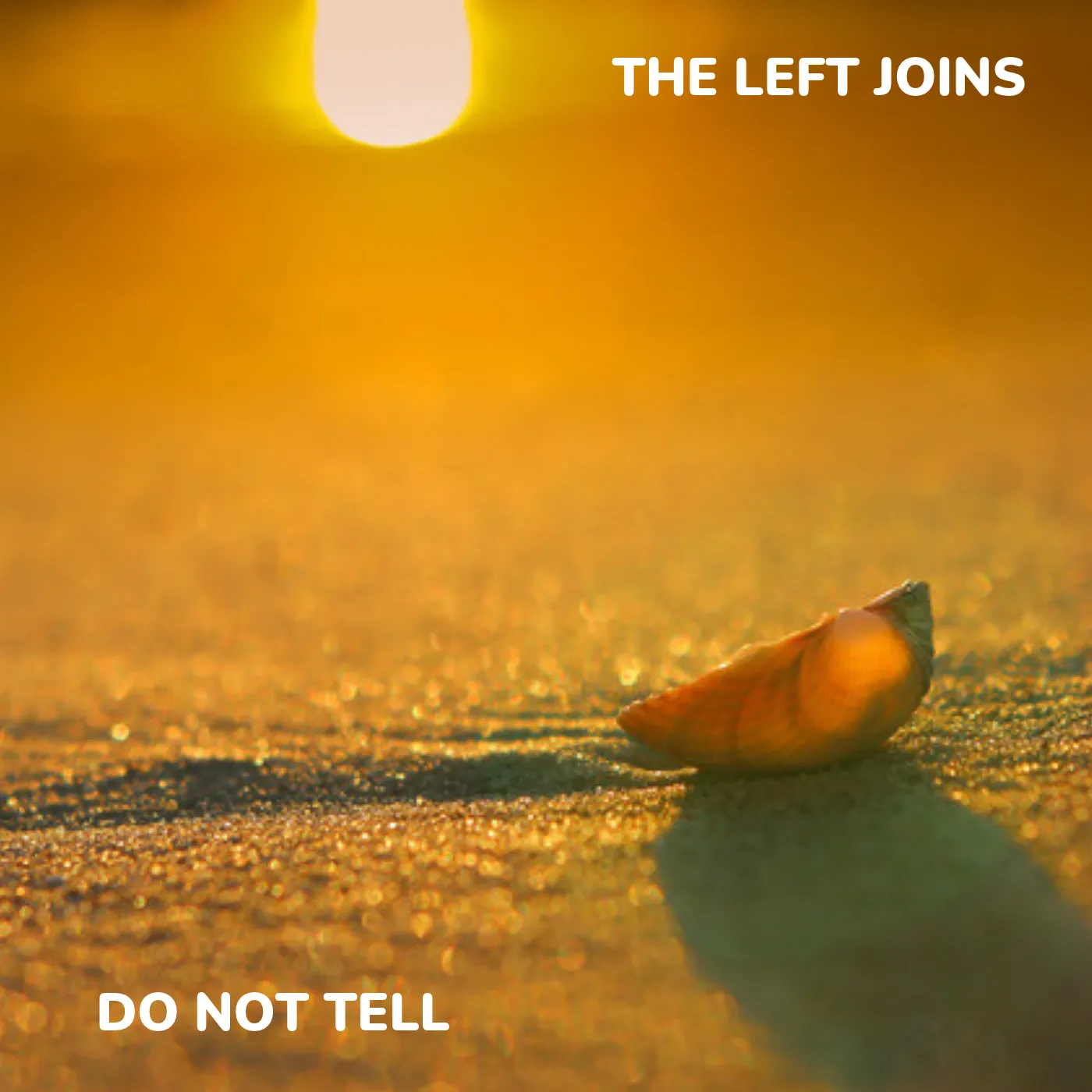 Single art for Do Not Tell: a seashell on wet sand at sunset